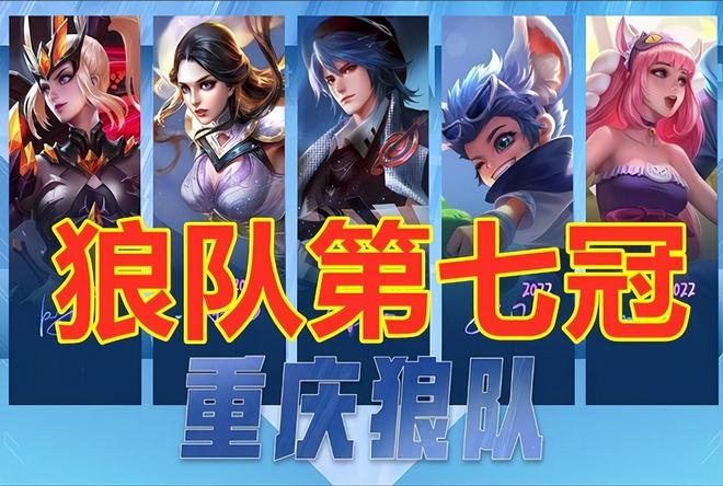 顾问或理事